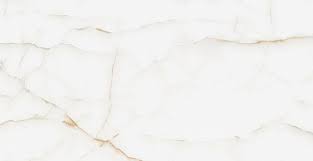 ՍԱԼԻԿ ԿԵՐԱՄՈԳՐԱՆԻՏ 60-120 ONYX WHITE 4HG Լ.Դ.